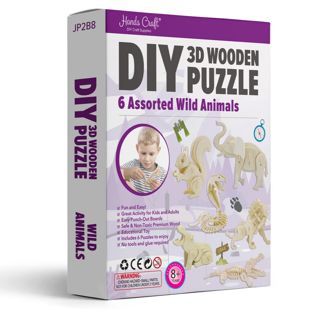 DIY 3D Wooden Puzzle 6 Count