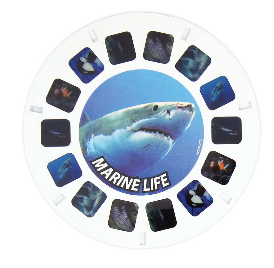 fish master reels View Master Reels – Oodles Kids