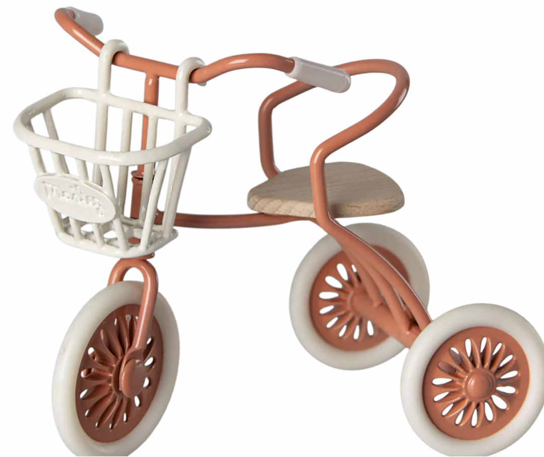 Tricycle Basket