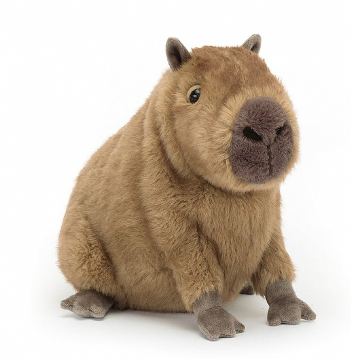 Clyde Capybara