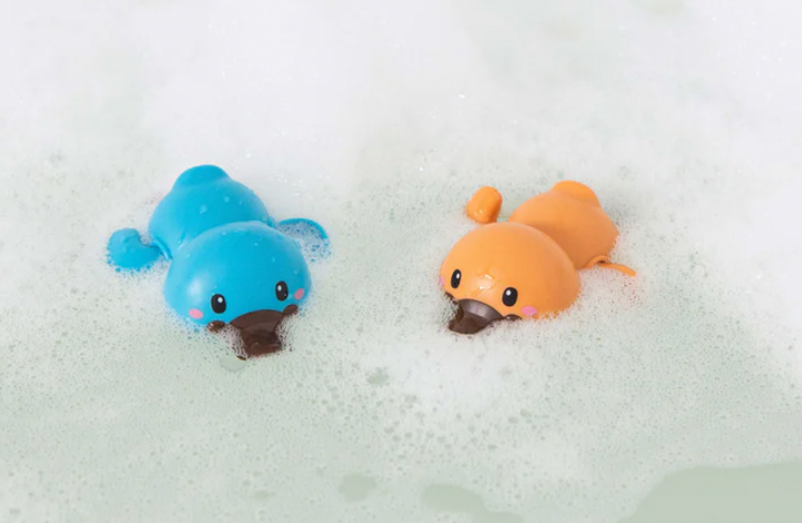 Bath Racers Platypuses