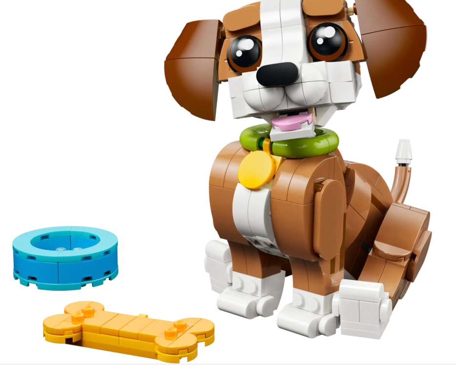 Cute Animals: Playful Puppy Dog