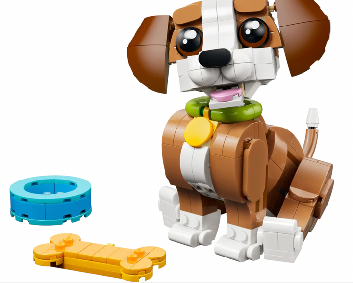 Cute Animals: Playful Puppy Dog