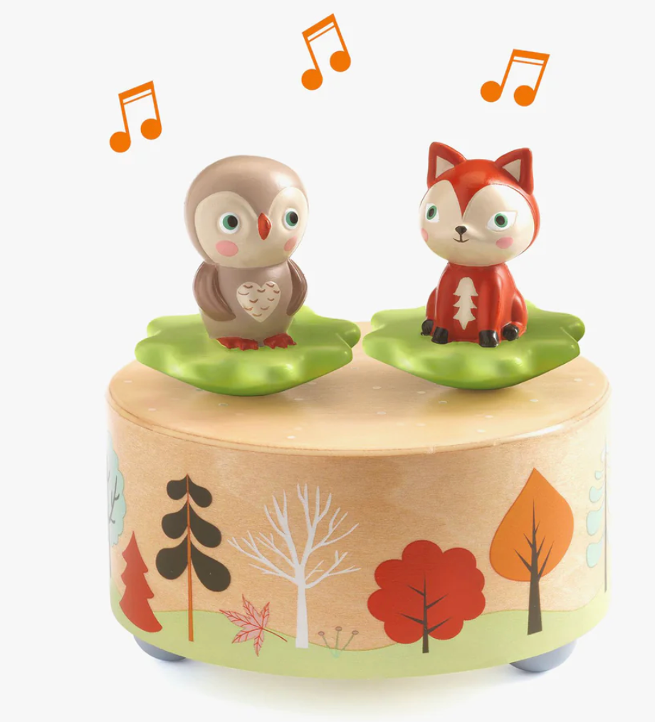 Magnetic Musical Box