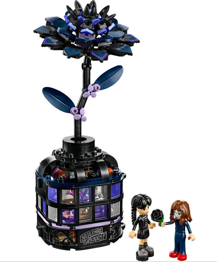 Wednesday Black Dahlia Flower