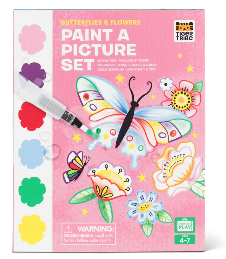 Butterflies And Flowers Paint A Picture Set