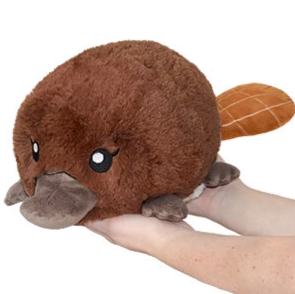 Mini Baby Platypus (7”)