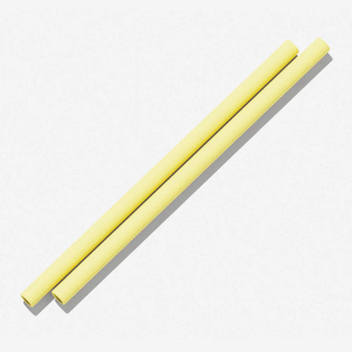 Silicone Straw 2-pack