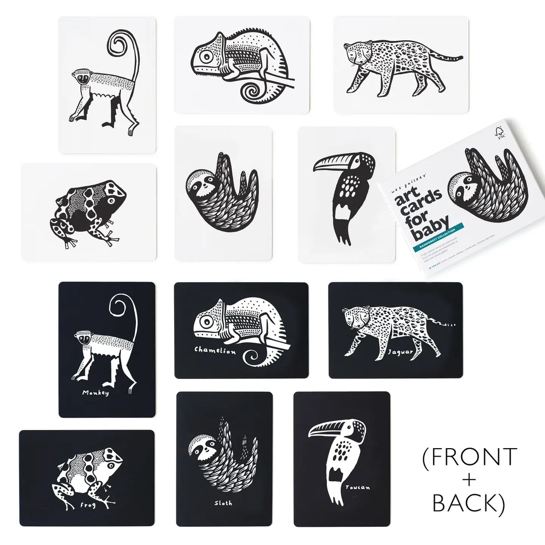 Rainforest Animal Baby Art Cards