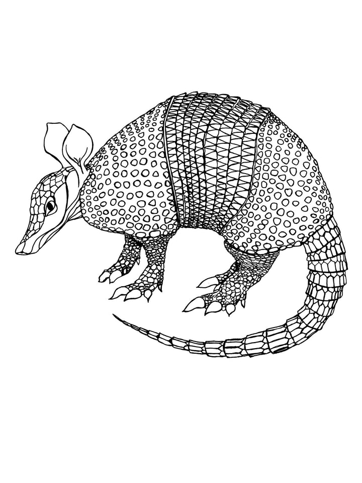 Armadillo Organic Bodysuit