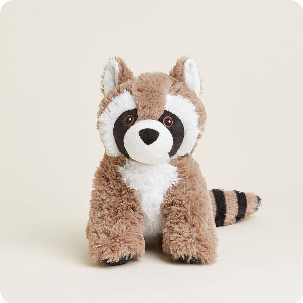 Raccoon
