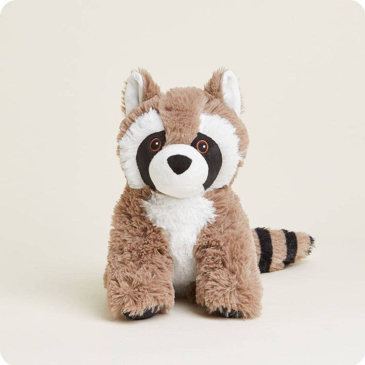 Raccoon