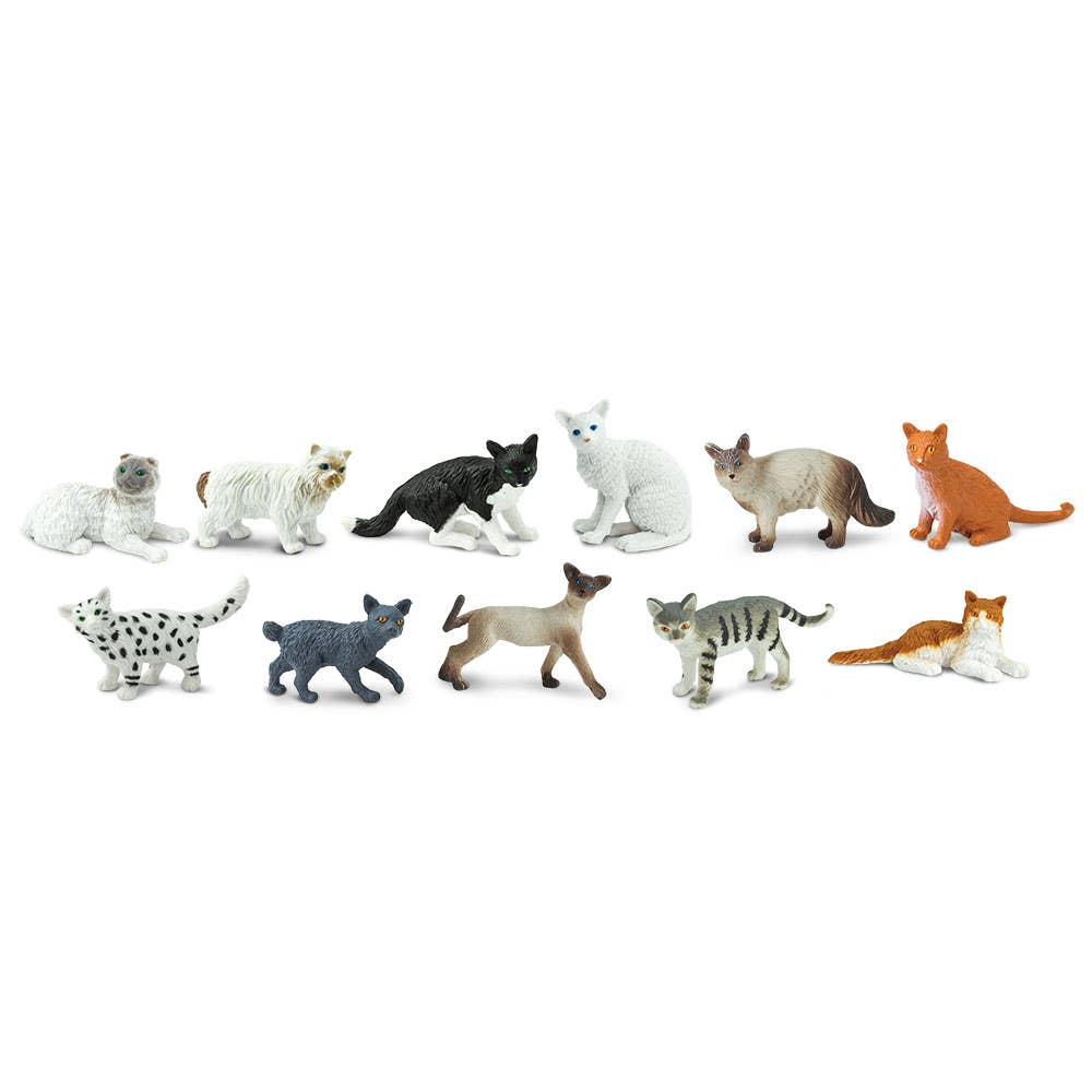 Domestic Cats TOOB