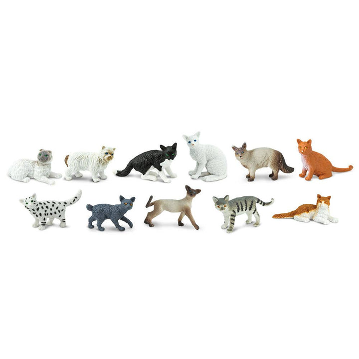 Domestic Cats TOOB