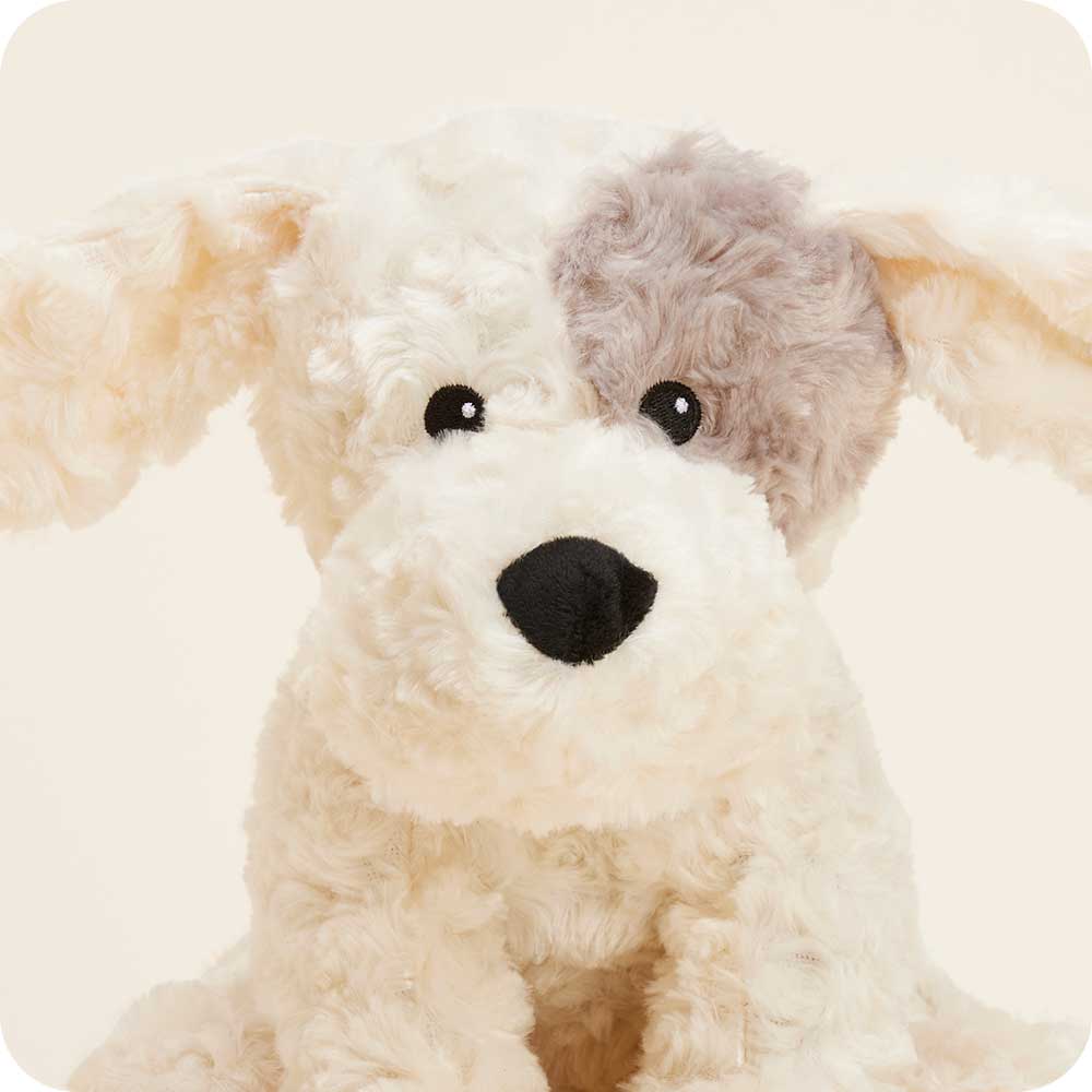Patch Curly Dog