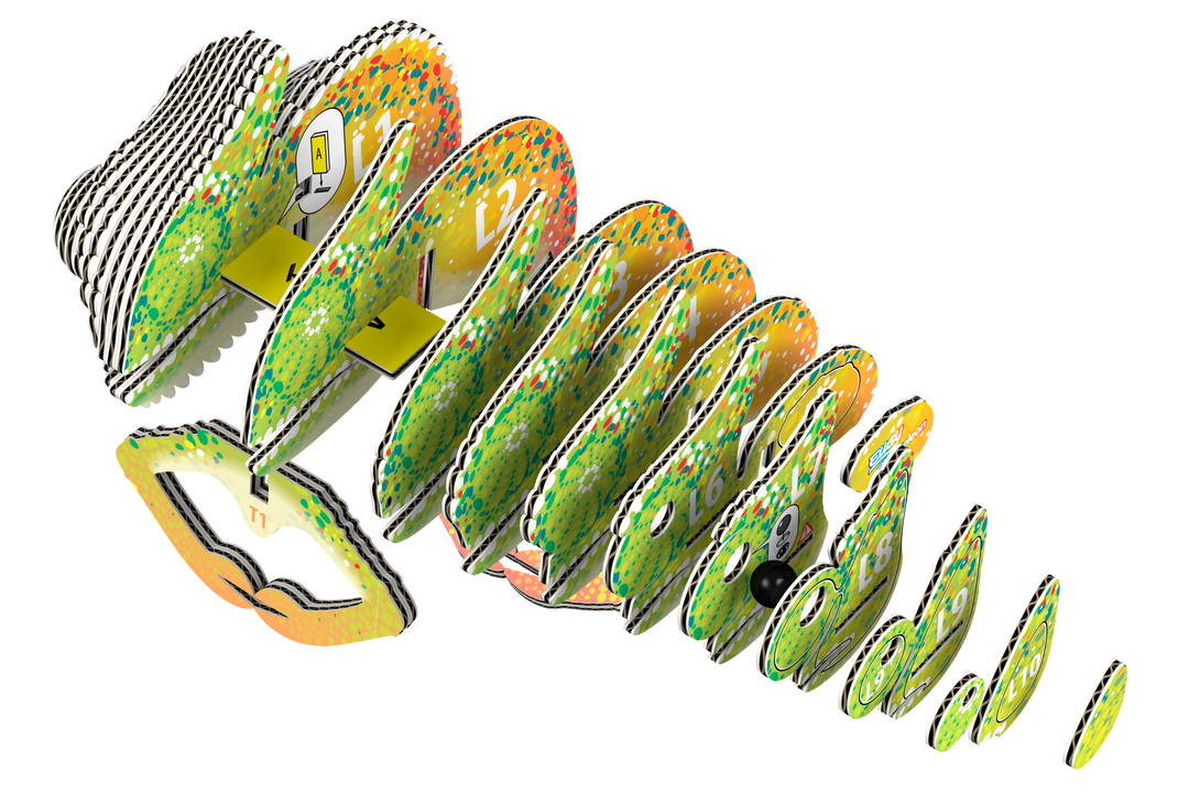 Chameleon 3D Puzzle