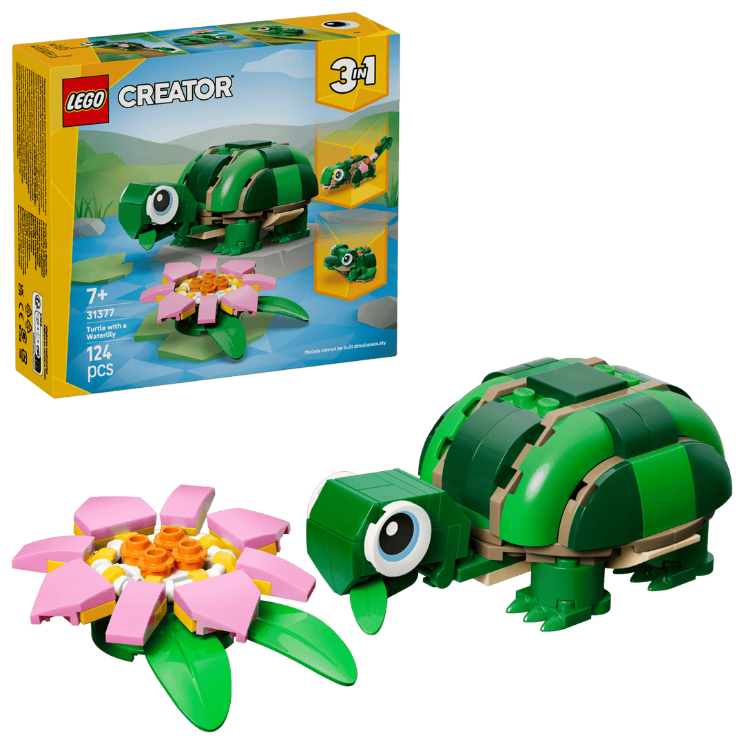 Turtle with a Water Lily Flower