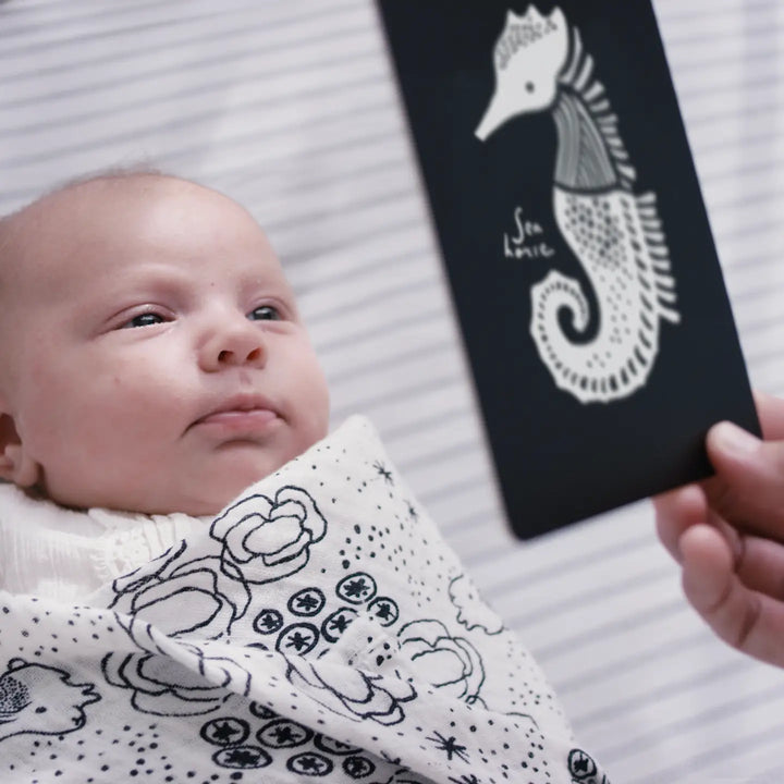 Ocean Animal Baby Art Cards