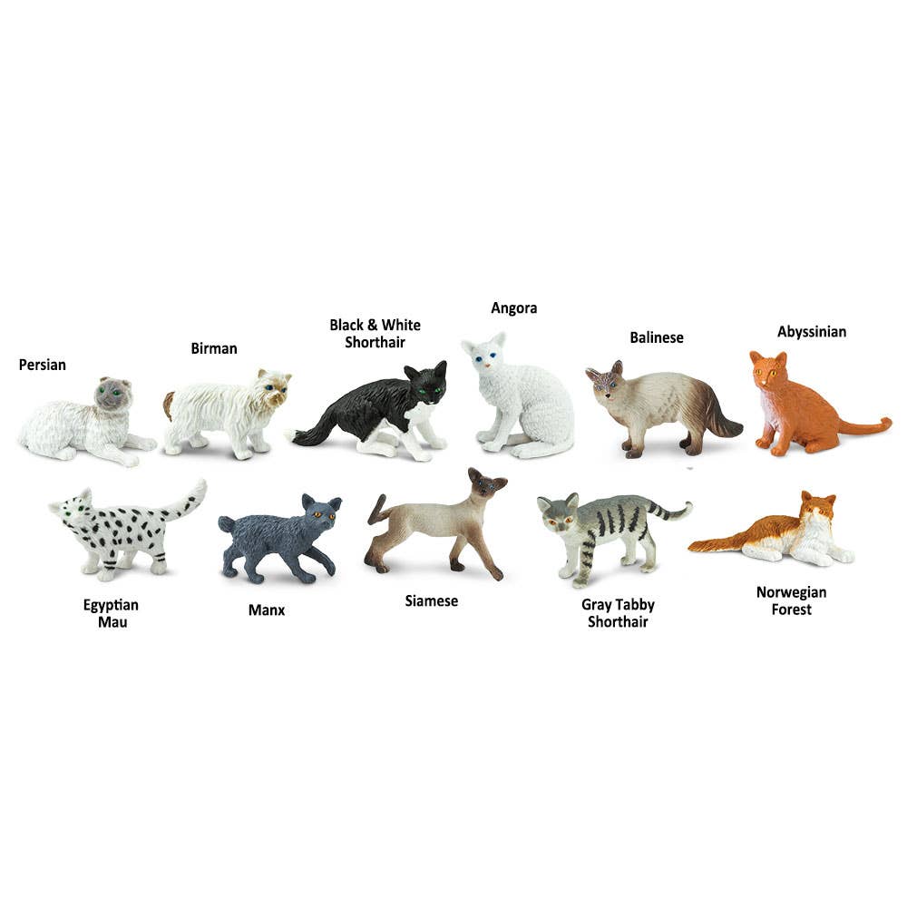 Domestic Cats TOOB