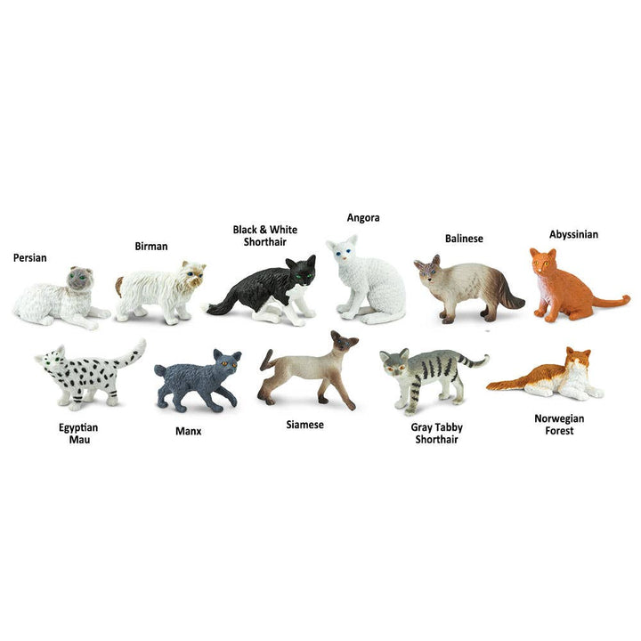 Domestic Cats TOOB