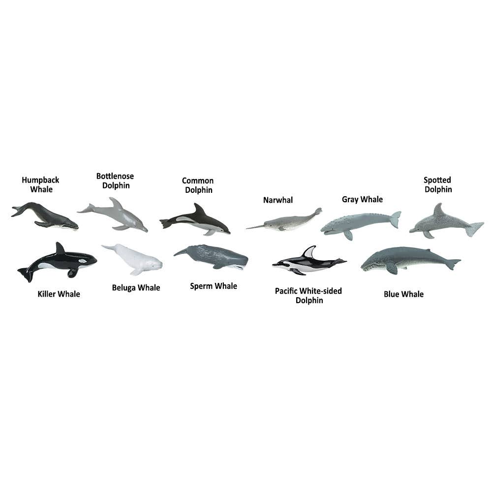 Whales And Dolphins TOOB