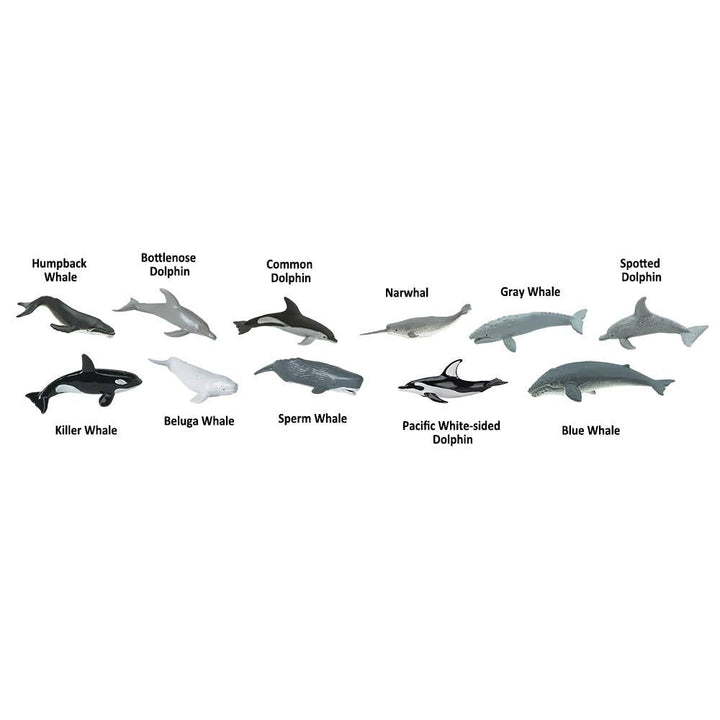 Whales And Dolphins TOOB