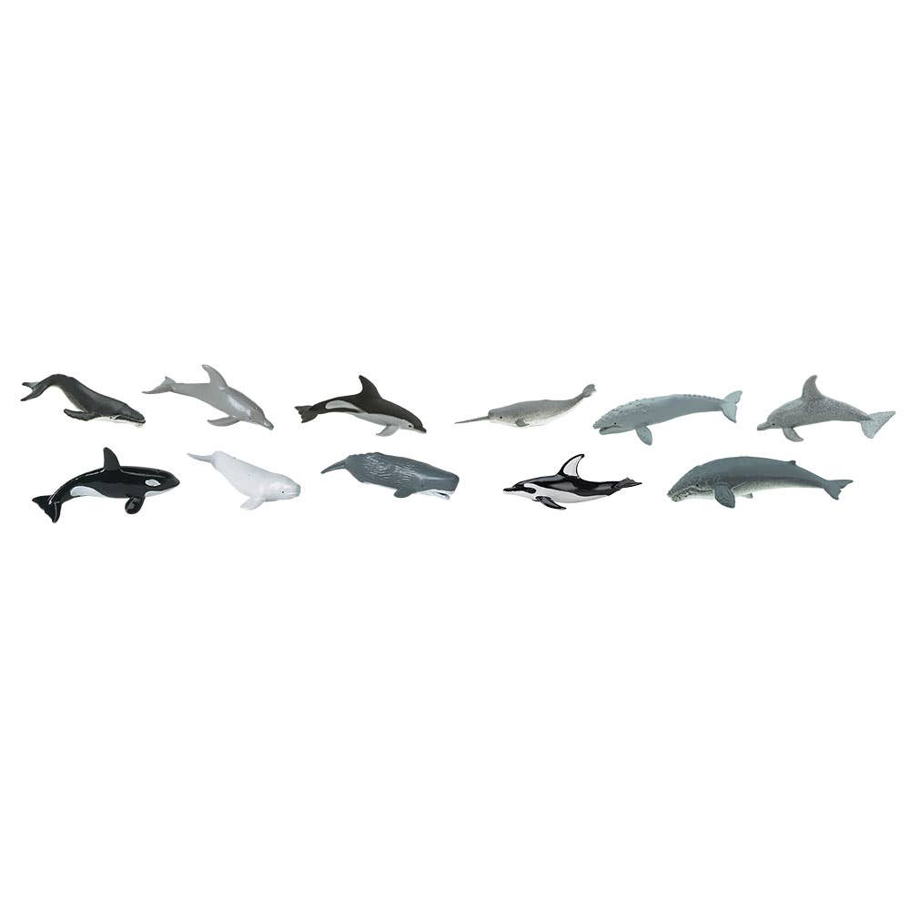 Whales And Dolphins TOOB
