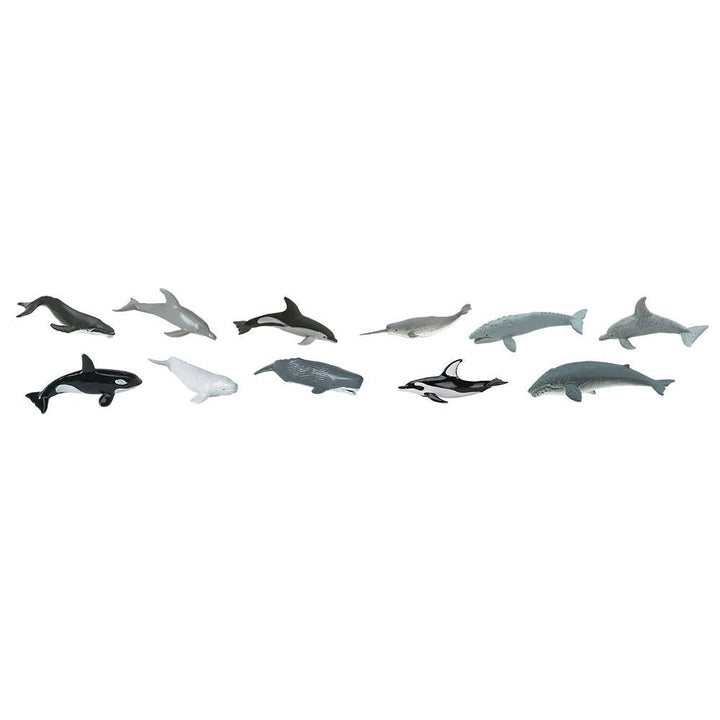 Whales And Dolphins TOOB