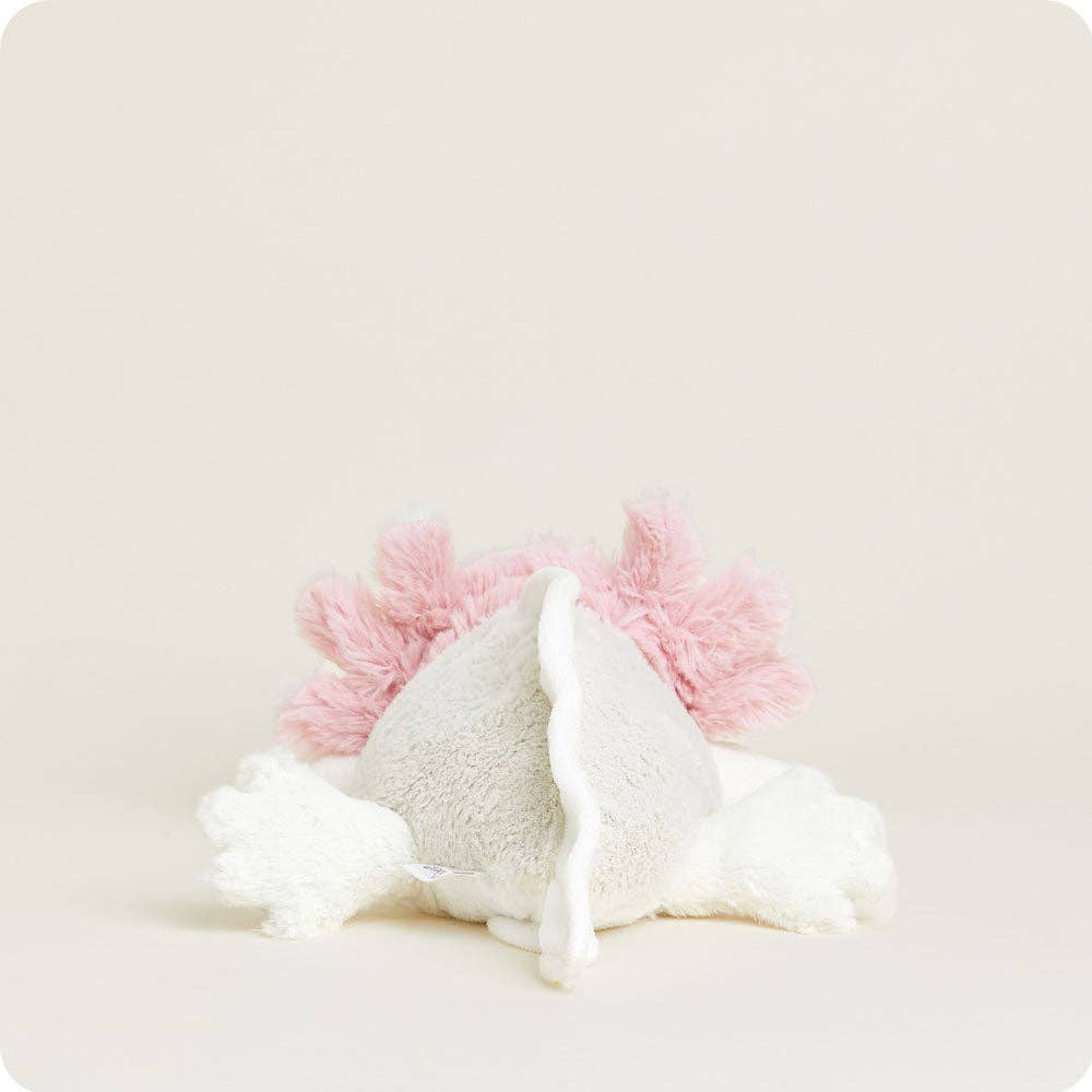 Axolotl