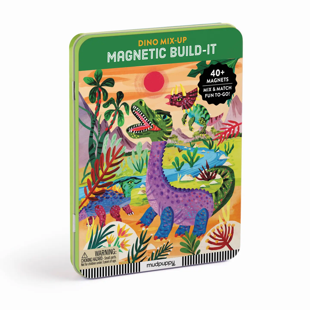 Dinosaur Magnetic Play Set