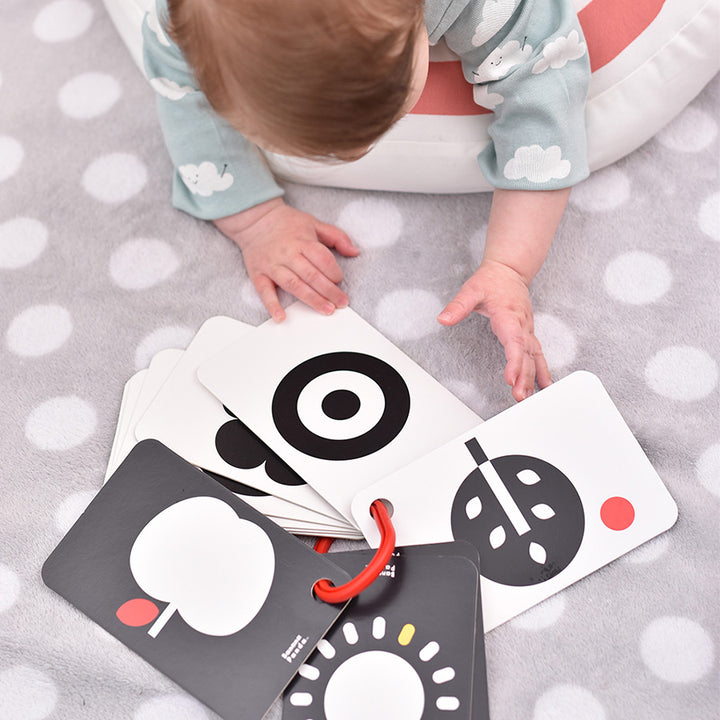 High Contrast Flash Cards on a Ring