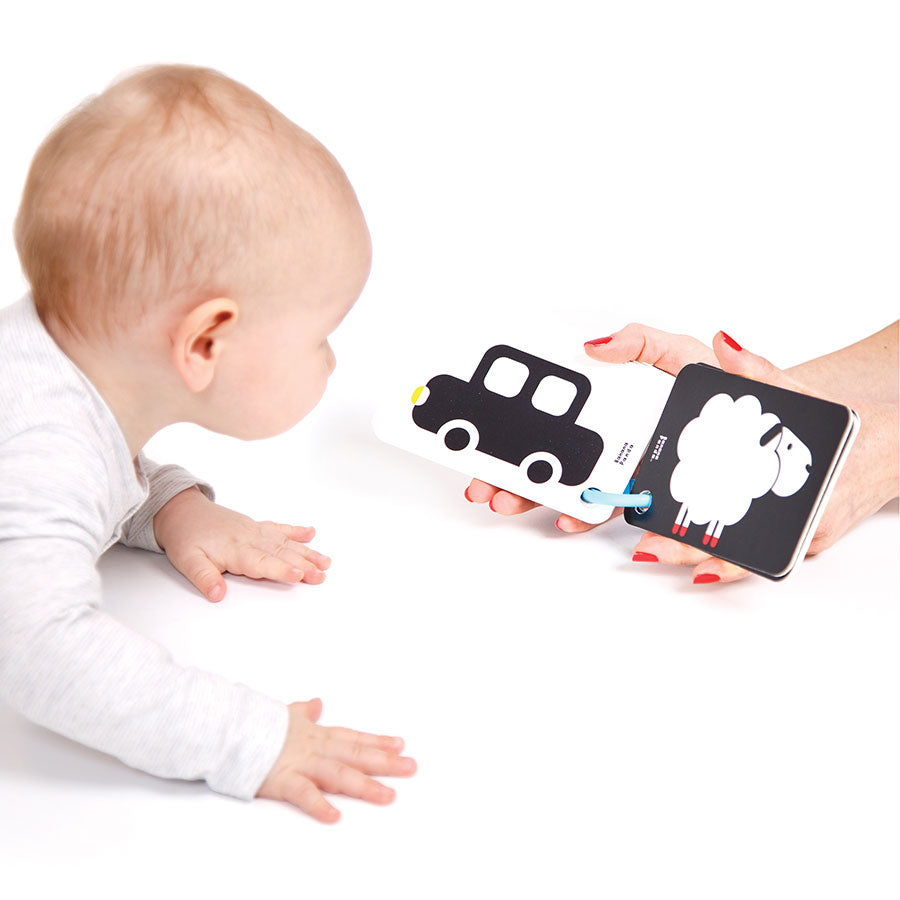 High Contrast Flash Cards on a Ring