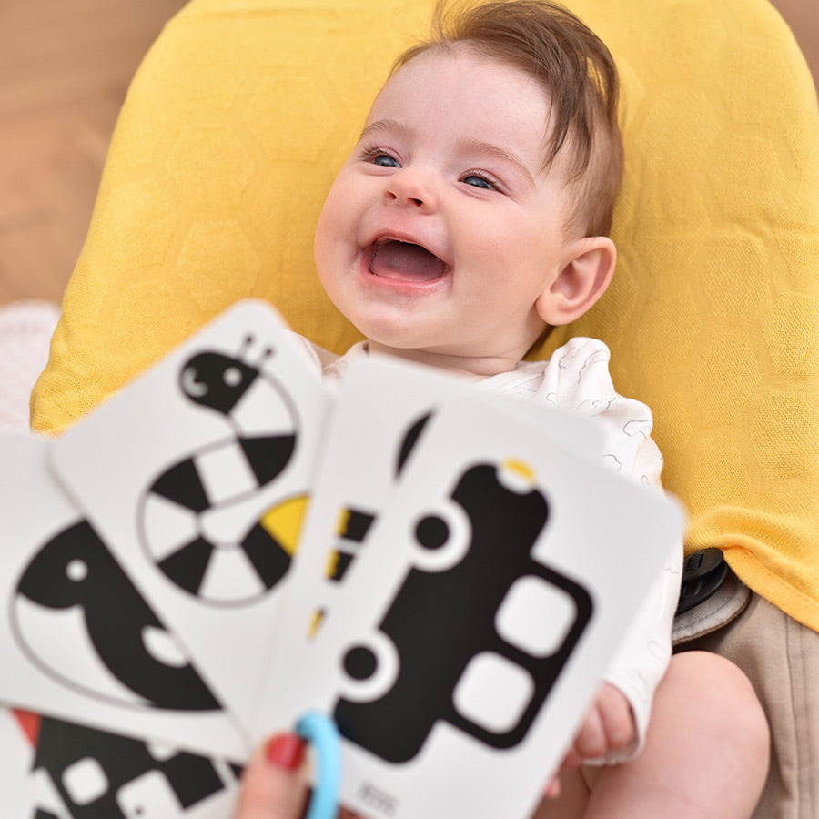 High Contrast Flash Cards on a Ring