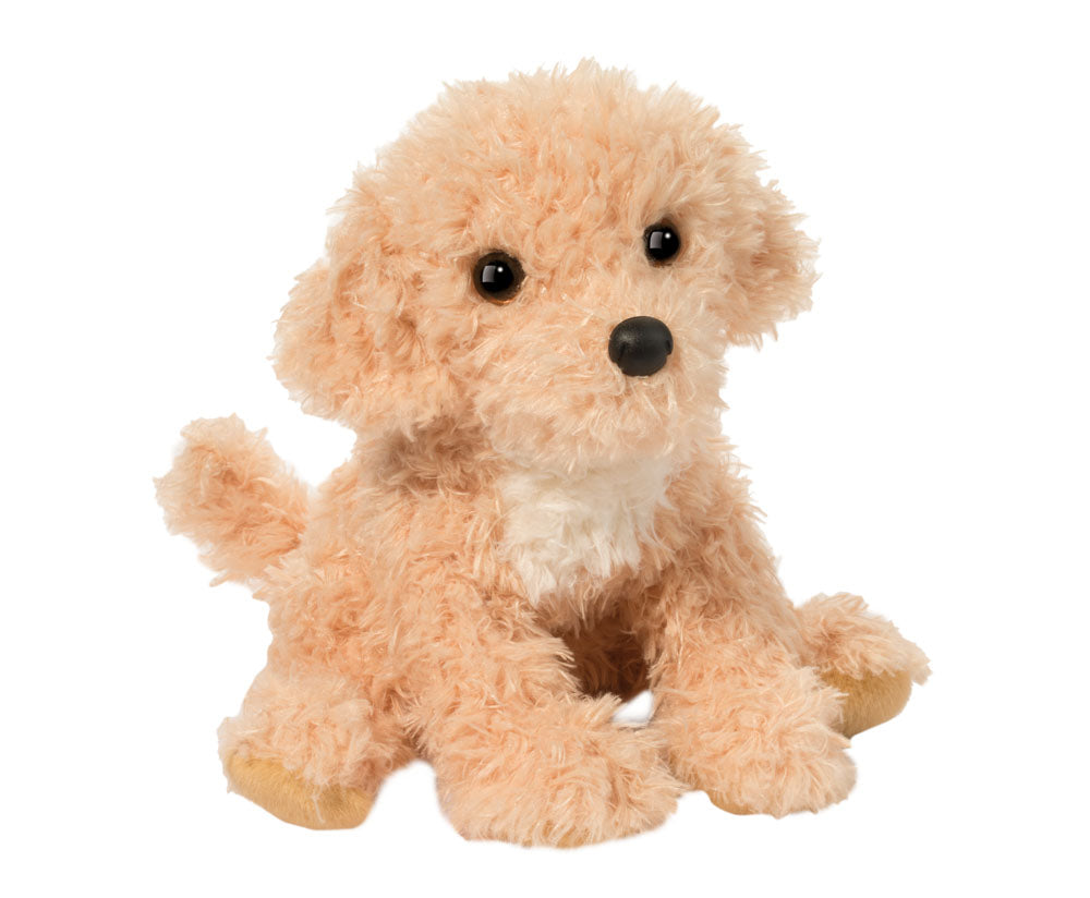 Noodle Golden Doodle