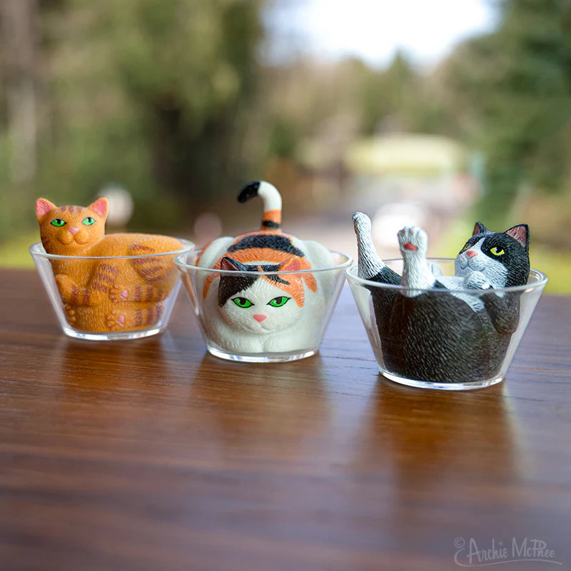 Liquid Cats