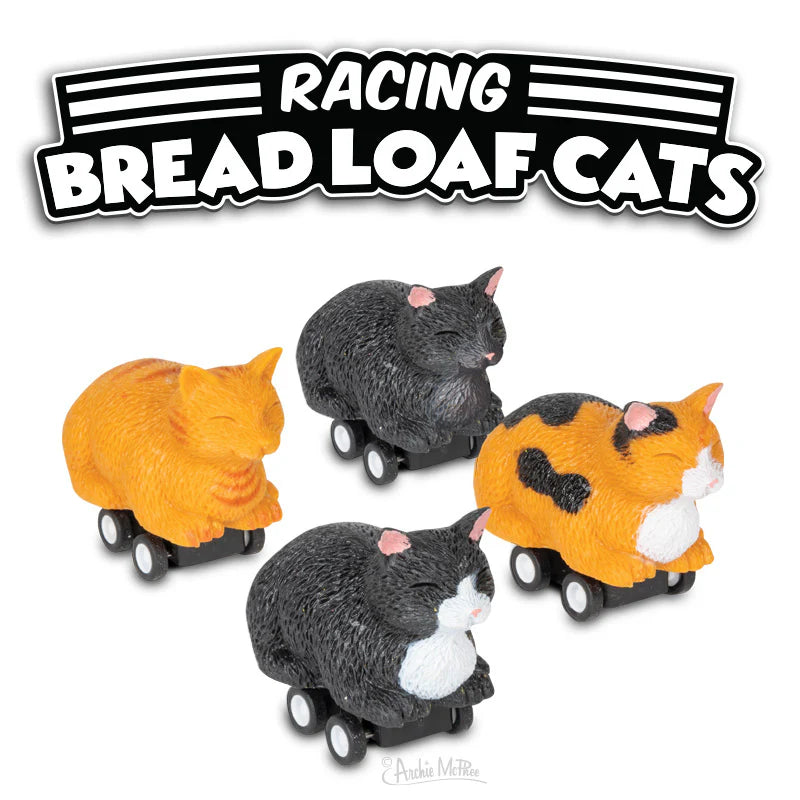 Racing Pull-Back Bread Loaf Cats