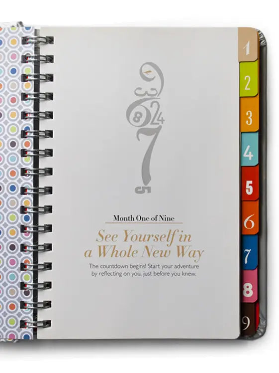 The Nine - A Pregnancy Countdown Journal